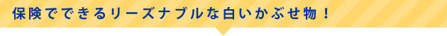 保険でできるリーズナブルな白いかぶせ物！